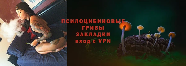 прущие крисы Верхний Тагил