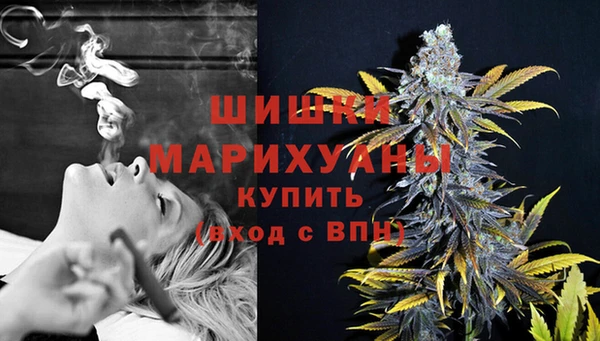 прущие крисы Верхний Тагил