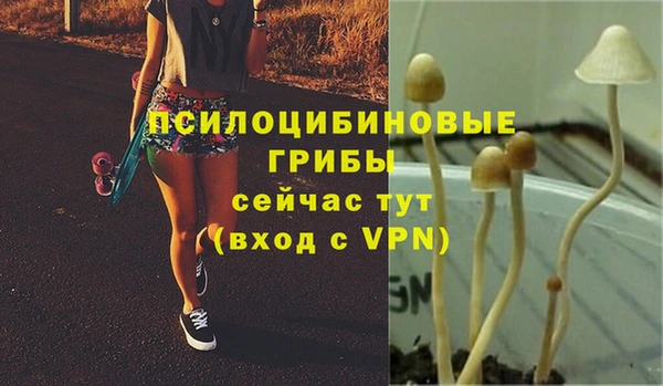 стафф Волоколамск