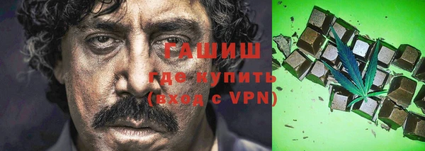 шишки Сатка
