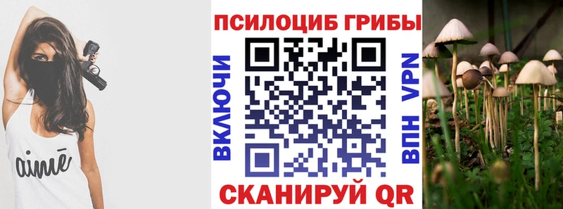 наркотики  Брюховецкая  Псилоцибиновые грибы прущие грибы 